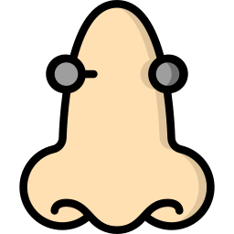 Nose icon