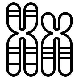 chromosome Icône