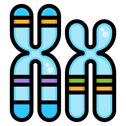 chromosome Icône