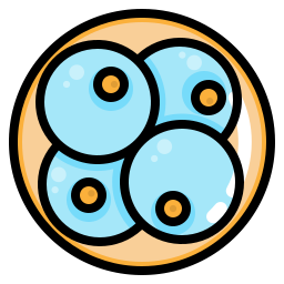 embryo icon