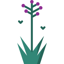 hyacint icoon