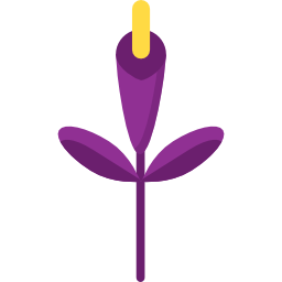 gladiolo icono