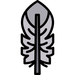 Feather icon