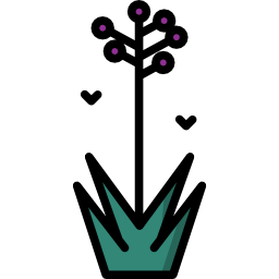 Гиацинт иконка