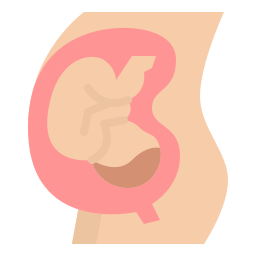 임신 icon