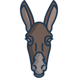 Donkey icon