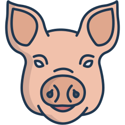 Pig icon