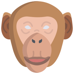 Monkey icon