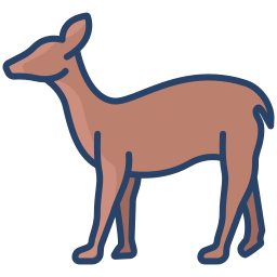 Deer icon