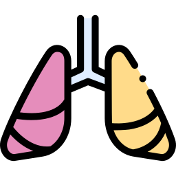 câncer de pulmão Ícone