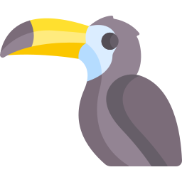 toucan Icône