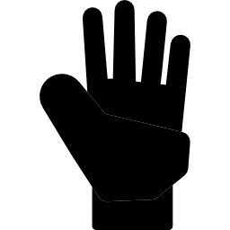 Glove icon