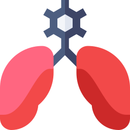 Lungs icon