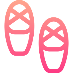zapatillas de ballet icono