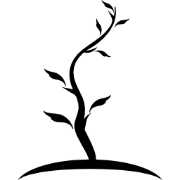 albero dalla forma sottile del tronco giovane con poche foglie icona