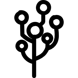 Tree with balls on the top of the branches icon