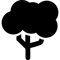 丸い大きな葉の木 icon