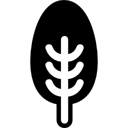 albero di forma simmetrica con fogliame ovale icona
