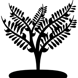 grande pianta come un piccolo albero icona