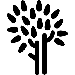 Tree trunk and leaves icon