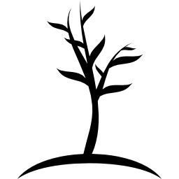 giovane albero icona