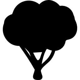 Tree shape icon