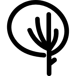 zarys okrągły kształt drzewa ikona