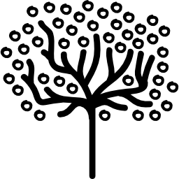 forma ad albero di tronco sottile con contorni di piccoli cerchi di foglie icona