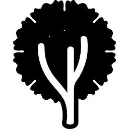 Árbol de follaje de forma circular icono