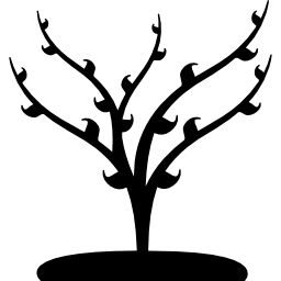 albero con foglie crescenti di primavera icona