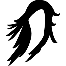 긴 머리 가발 icon