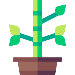 Bamboo icon