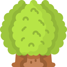 bomen icoon