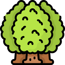 Деревья иконка