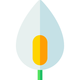 paz lily icono