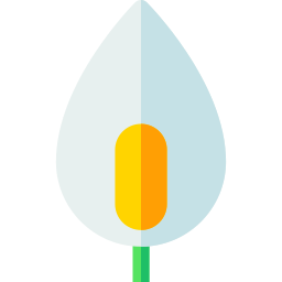 Peace lily icon