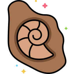 fossil icon