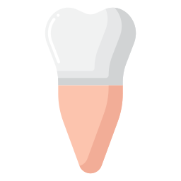 小臼歯 icon