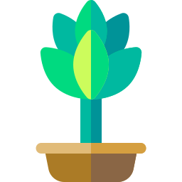 succulent Icône