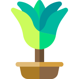 Dracaena icon