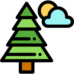 Pine icon