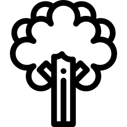 baum icon