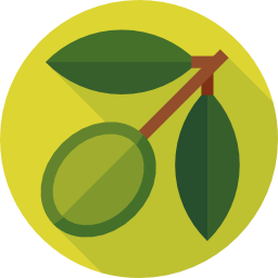 Olive icon