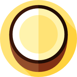 Coconut icon