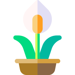 백합 icon