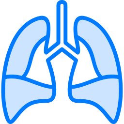 Lungs icon