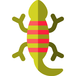 salamandre Icône