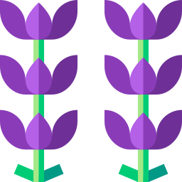 lavendel icon