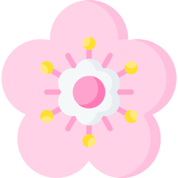 sakura icono