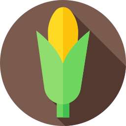 Corn icon